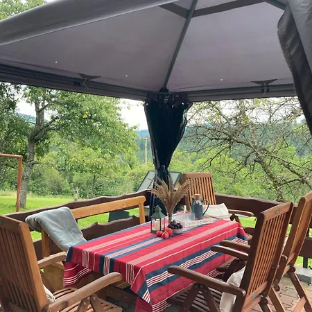 בית אירוח Dom W Sadzie Frydrychowka יבוז'ינקה