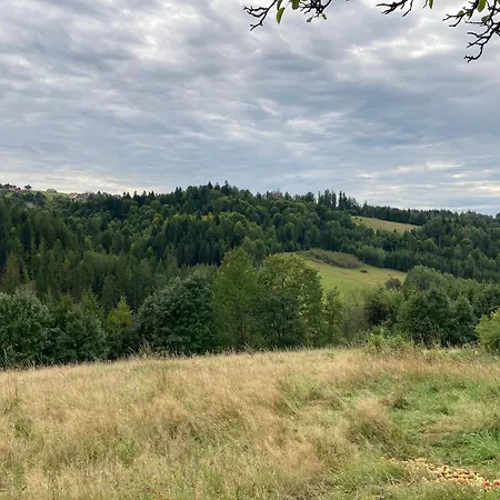 בית אירוח Dom W Sadzie Frydrychowka *