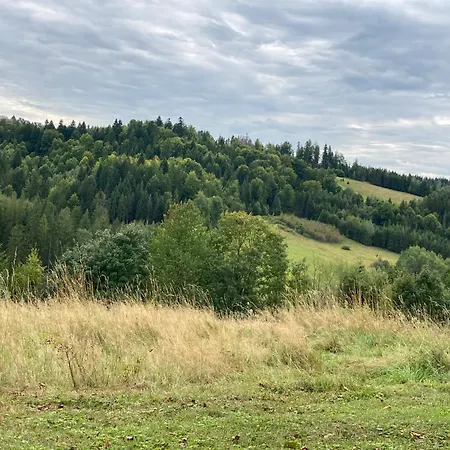 Dom W Sadzie Frydrychówka