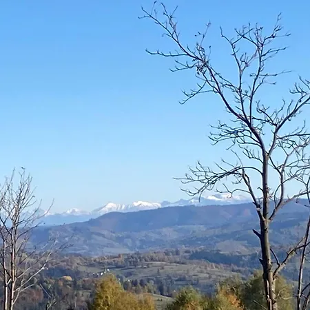 Dom W Sadzie Frydrychowka בית אירוח *