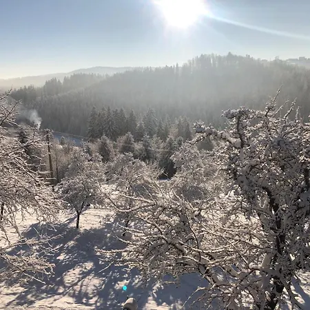 בית אירוח Dom W Sadzie Frydrychowka