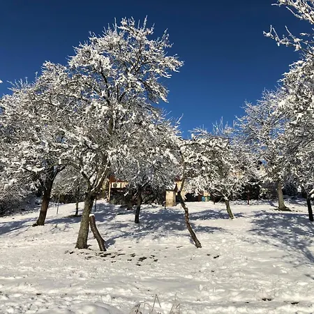 בית אירוח Dom W Sadzie Frydrychowka