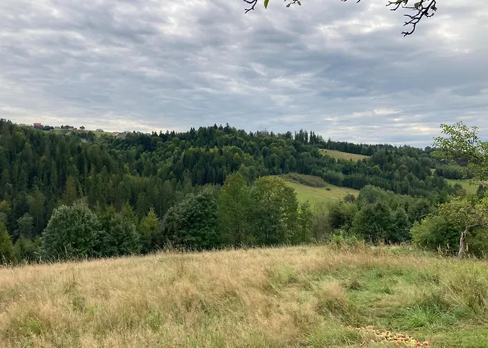 בית אירוח Dom W Sadzie Frydrychowka *