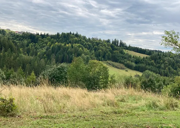 Dom W Sadzie Frydrychowka