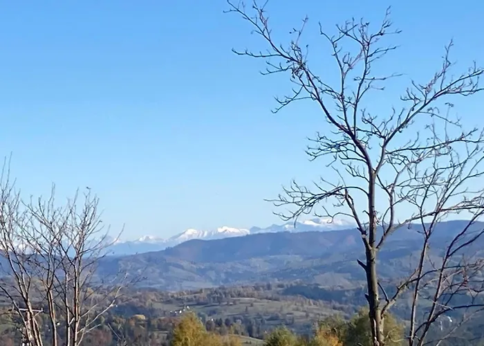 Dom W Sadzie Frydrychowka Privat bolig *