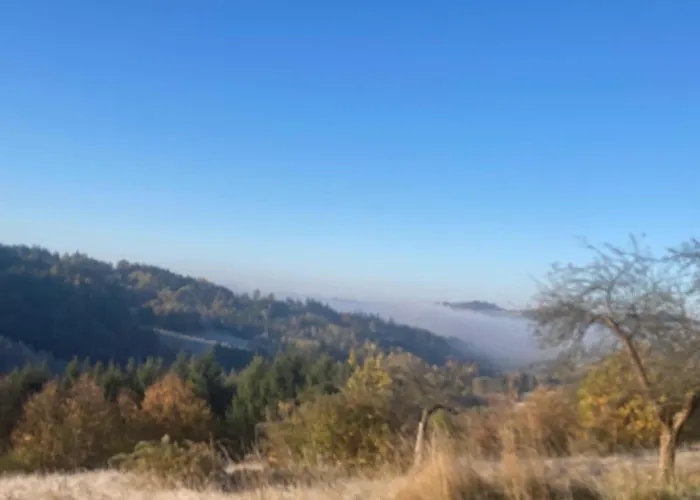 בית אירוח Dom W Sadzie Frydrychowka יבוז'ינקה