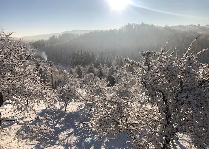 בית אירוח Dom W Sadzie Frydrychowka