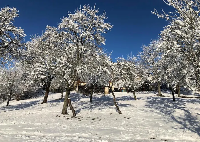 בית אירוח Dom W Sadzie Frydrychowka