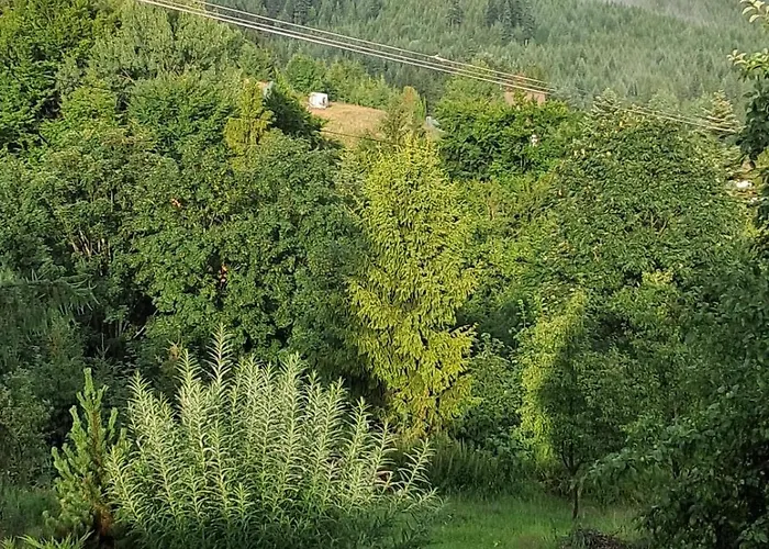 Dom W Sadzie Frydrychowka * יבוז'ינקה